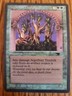 Magic the Gathering Antiquities Argothian Treefolk 94 NM/NP SO