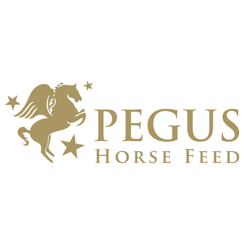 Pegus Pferdefutter Natural Luzernecobs 25 kg Cobs Aufbaufutter proteinreich - Bild 5 von 5
