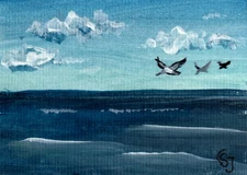 ACEO Original Acrylic Painting Pelicans Coast Over Blue Sea signed by CS Jackson