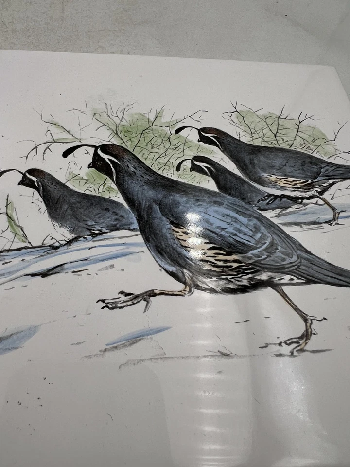 Azulejo de cerámica coloreado a mano California codorniz corcho trasero el señuelo plato caliente Foto 2 de 4