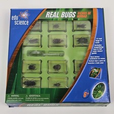 Edu Science REAL BUGS in Resin Insect Display...