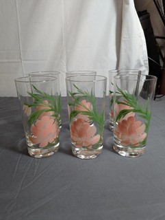 Vintage Beautiful Set of 6 Hand Painted Floral Flower Drinking Glasses