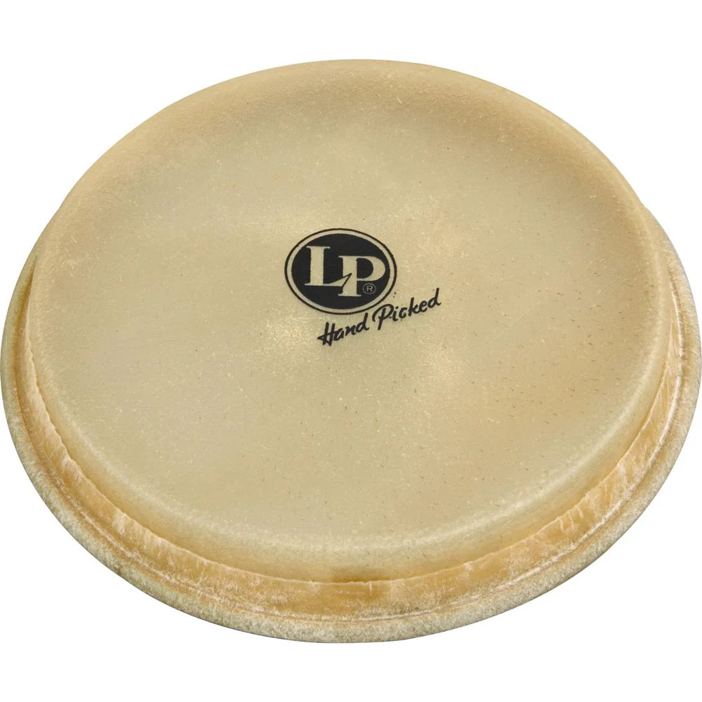 Latin Percussion LP264A 8 5/8'' Large Replacement Bongo Head