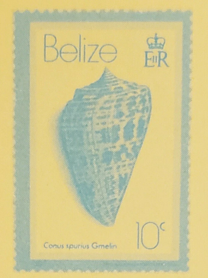 Tarjeta postal BELICE 10c Shell Foto 2 de 3