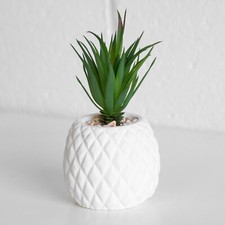 White Pineapple Succulent Plant Artificial Shaped Home Decoration Ornament Pot