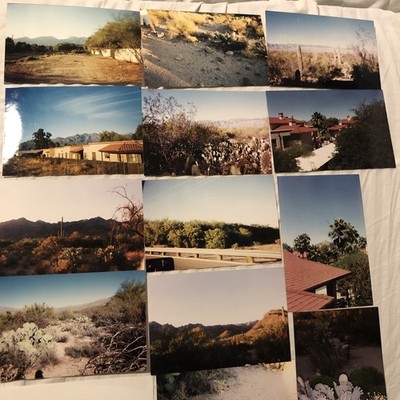 14 Photos TUCSON, AZ Desert Pictures 4 x 6 Glossy Tourist Snapshots Cactus + Sky