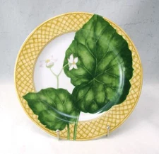 222 Fifth PTS International RAIN FOREST / RAINFOREST Salad Plate(s) 