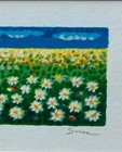 Bild 6 von 8
