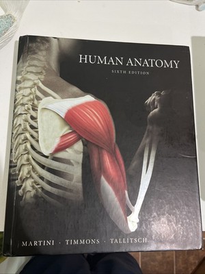 Human Anatomy (6th Edition) by Martini, Frederic H.|Timmons, Michael J.|Talli 