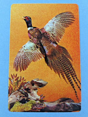 Ring Neck Pheasant in Full-Winged Flight Single Playing Card