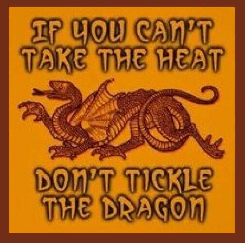 If You Can't Take The Heat Don't Tickle The Dragon Magical Fanta