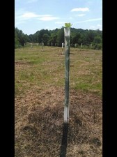 Tree Pro TUBE /TREE SHELTERS/TREE PROTECTORS      50 Pack 5 Foot Long