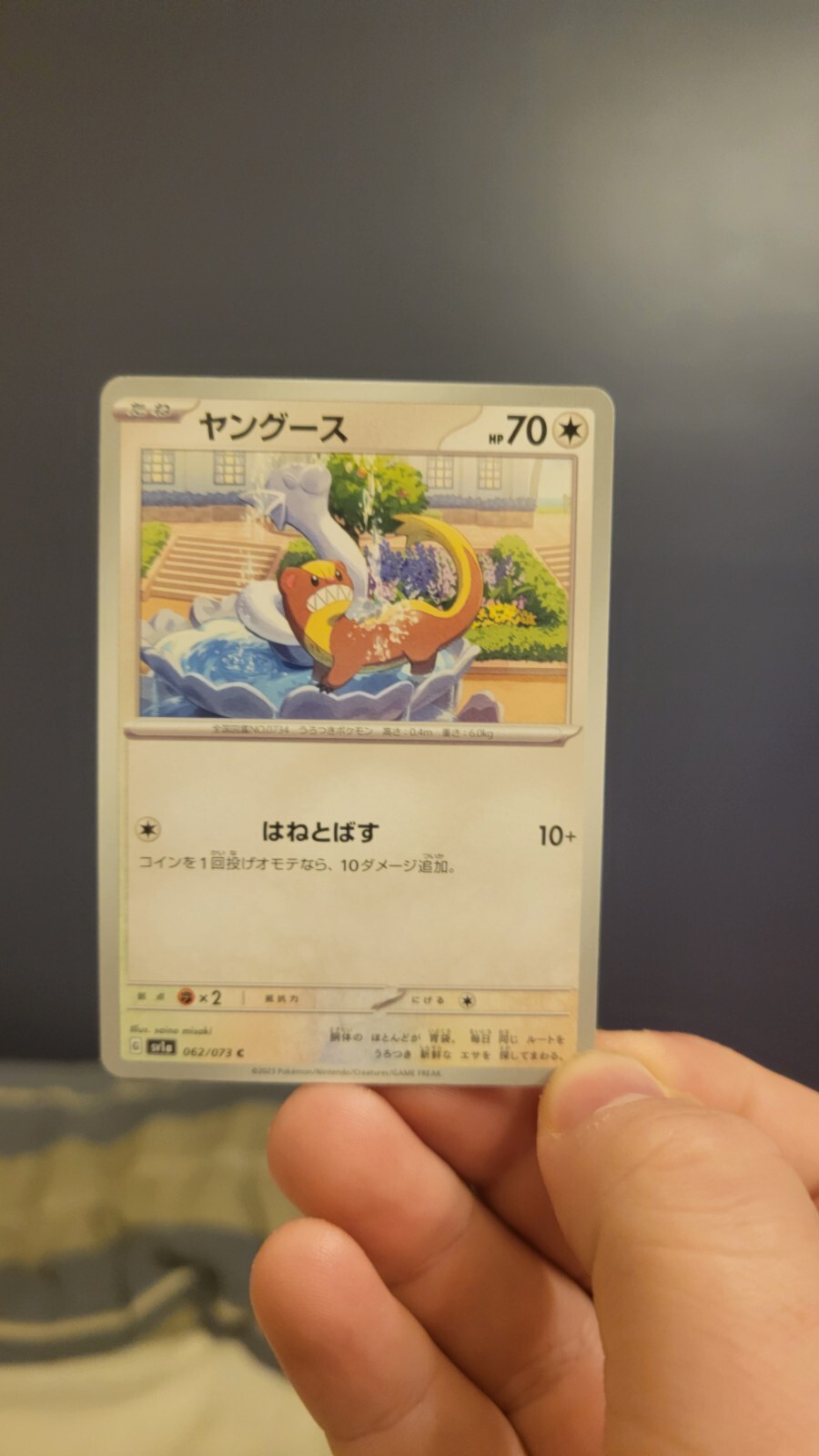 Yungoos C 062/073 SV1a Triplet Beat Pokemon Card Japanese