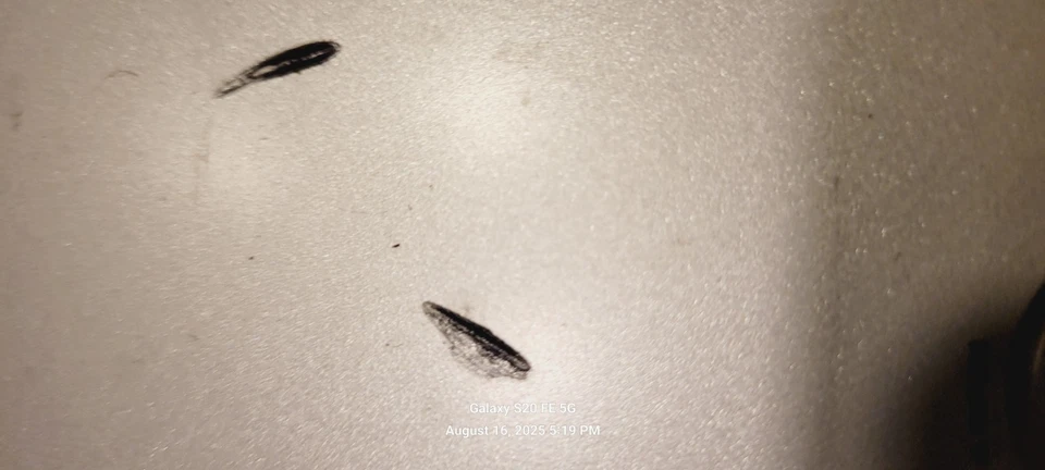 GPX Home Music System CD Player Am/FM Radio Clock Alarm Check Description - Image 4 of 4