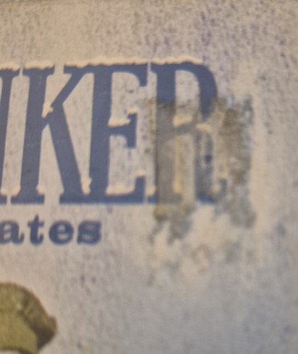 Hans Brinker The Silver Skates By Mary Mapes Dodge 1968 Stephens Library Edition - Imagen 4 de 11