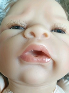 ashton drake reborns