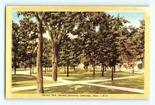Historic Center Harvard Yard University Cambridge Mass Park Linen Postcard G4