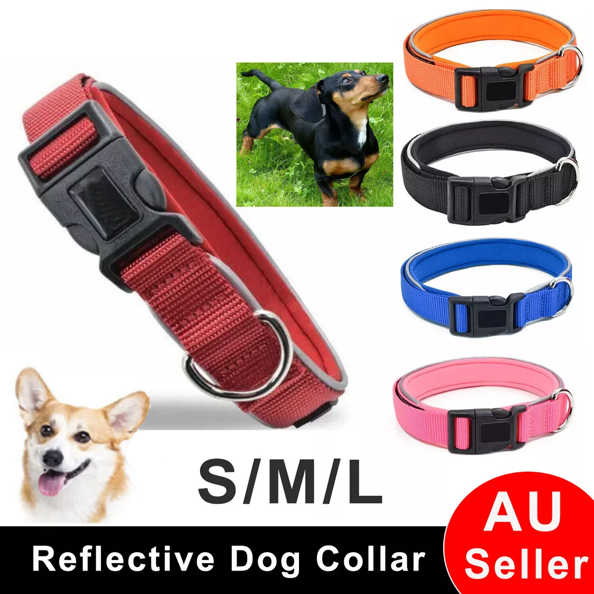 Dog collars ebay clearance australia