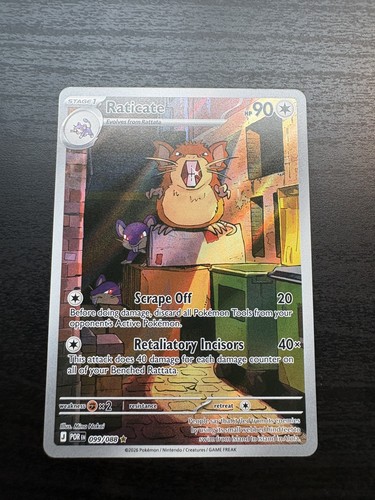 Raticate — Perfect Order