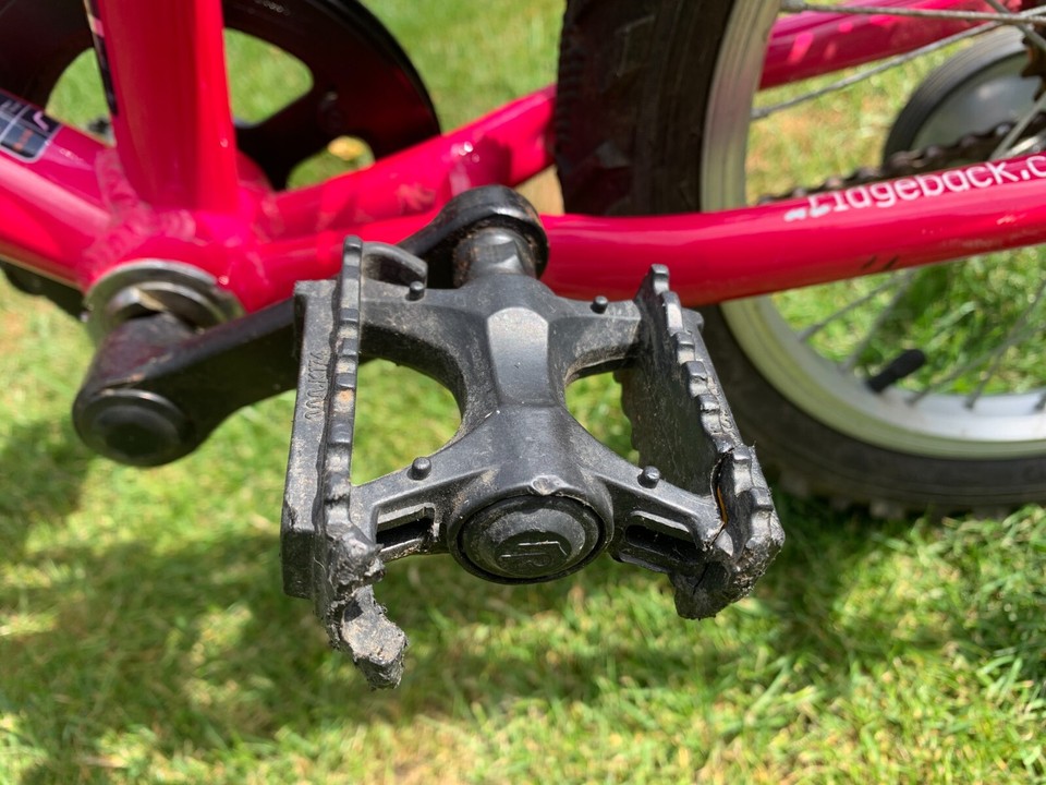 ridgeback melody 16 inch