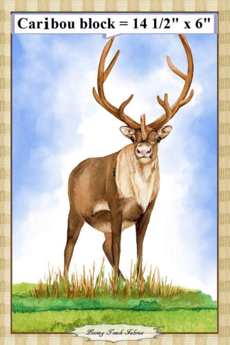 QT, "ONCE UPON A CABIN", ALASKA, KARIBU, BÄR, STOFFBAHN 24X42", 9 BLÖCKE - Bild 4 von 6