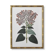 FRONTGATE Exclusive Bamboo Botanicals Giclée Print III (Red Flowers) 25"x20" NEW