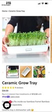 HAMAMA Ceramic Hydroponics Growing Tray White...