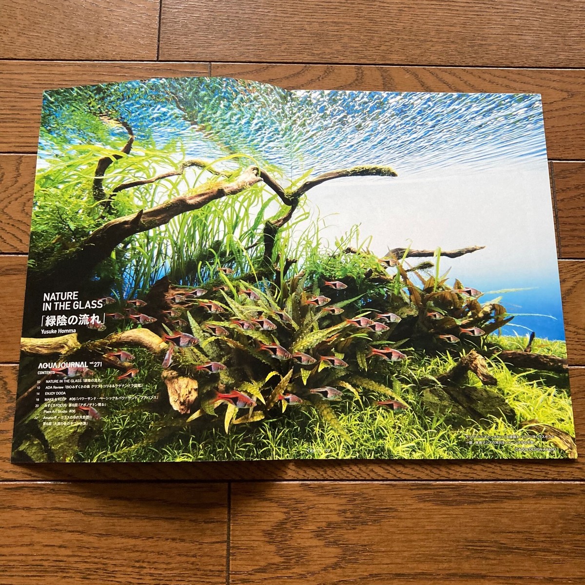 AJ Aqua Journal ADA Aqua Design Amano Nature Aquarium