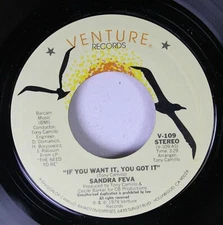 Hear! Modern Soul Nm! 45 Sandra Feva - If You Want It, You Got It / Th