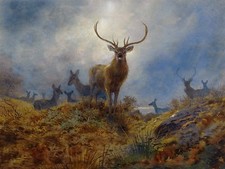 DEERS A. Thorburn animals landscape Tile Mural Kitchen Backsplash Marble Ceramic