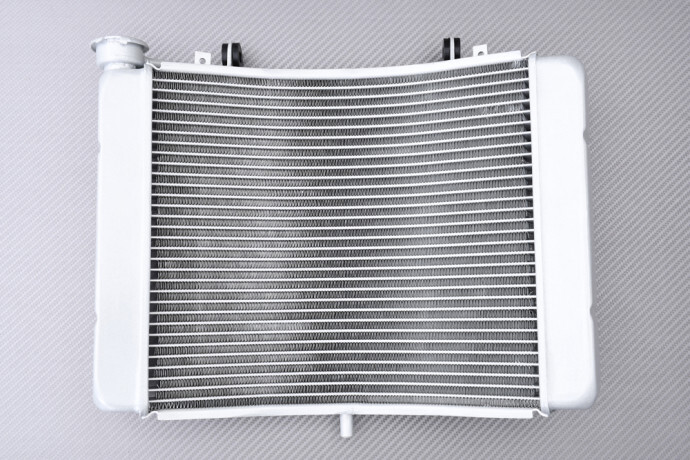 Radiateur eau Honda NSR 250 R MC21 évite la surchauffe moteur des modèles 1990