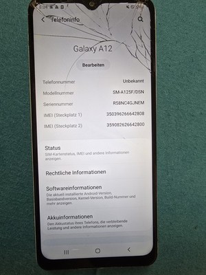 Samsung Galaxy A12 SM-A125F/DSN Dual SIM   Funktioniert   Displayglas beschädigt