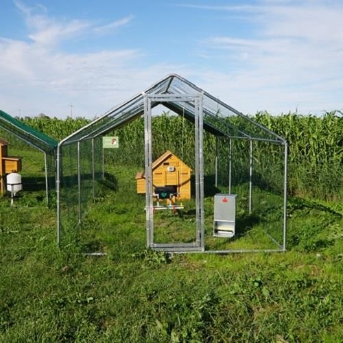 Kit Pollaio Cocincina Plus | Recinto+porta+abbev. Auto Copert. 2X3m