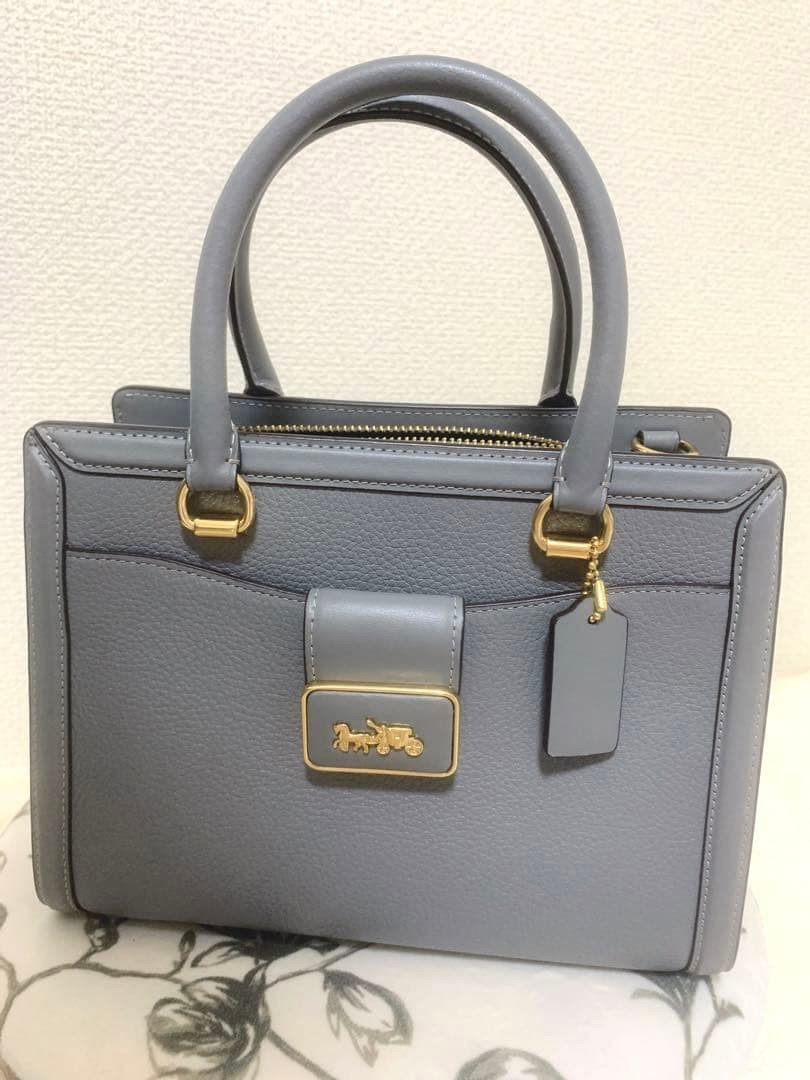 Coach Grey Handbag Python Pattern From Japan - image 1