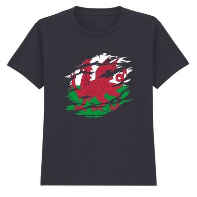 Wales Dragon National Heritage Kinder T-Shirt Welsh Culture Flag Tee