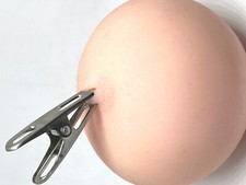 Nipple Clamps/Clip Bondage Sex Toy