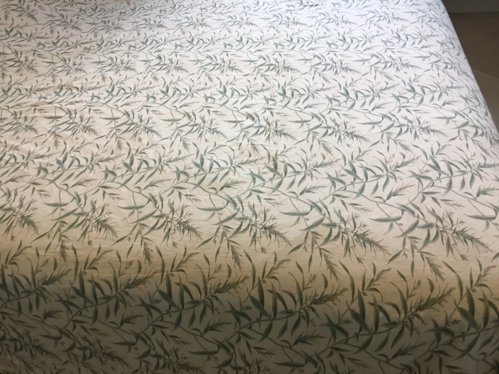 Foto 13 di 14