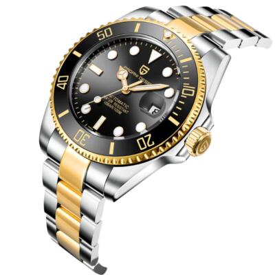 Men's 43mm Pagani Design Automatic Mechanical Stainless Steel