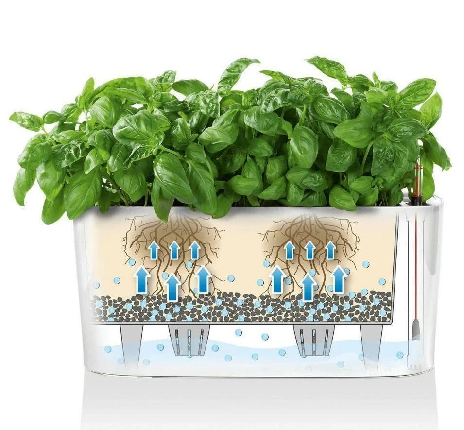 Indoor Plant Pots LECHUZA DELTA 20 Trough Poly Resin Self-watering Planter - Image 2 of 4