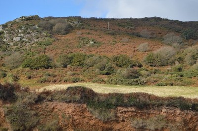 Foto 6x4 Hillside, Sharpers Head East Prawle c2016