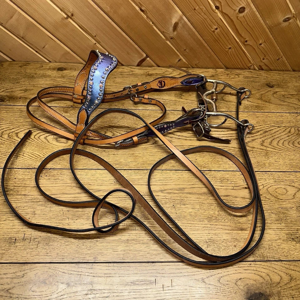 Circle Y Browband Headstall Bit Bridle Reins Metallic Purple Bling Show Set - Image 3 of 4