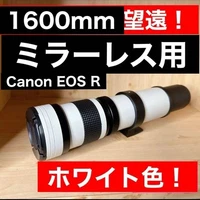 An Amazing 1600! Canon EOS R! Super Telephoto Lens! Incredible! Comes With A