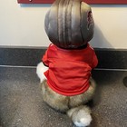 Picture 4 of 7