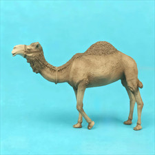 1/35 Scale Standing Camel Resin Model – Desert Diorama Animal for Military