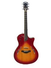 Taylor Eleaco T5-s-cs 2005 realizzato con custodia rigida collo piega riparazione usato