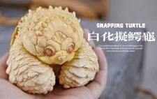  Animal Alligator Snapping Turtle Figure Model Resin Collection Doll Toys 8cm