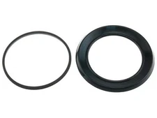 For 1974 Dodge M300 Disc Brake Caliper Seal Kit Front Raybestos 42255DWCG