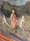 Foto 9 di 24