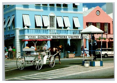 #ad Traffic Cop Birdcage Hamilton Bermuda LG Size Postcard Gosling Shop Horse Cart $3.31