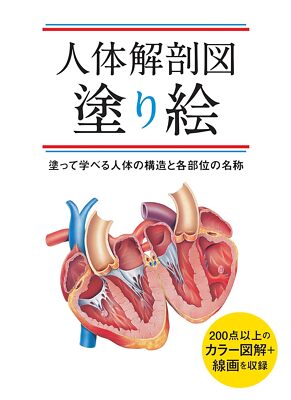 Human Anatomy Drawing Coloring Book learning structures name from Japan